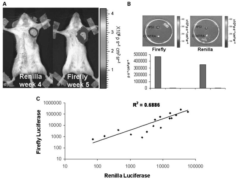 Fig. 4