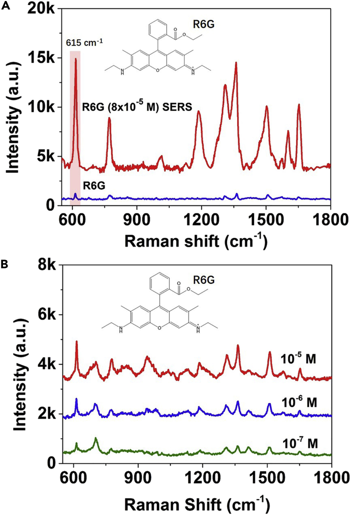 Figure 4