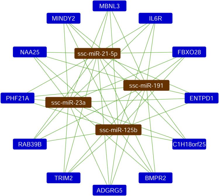 FIGURE 5