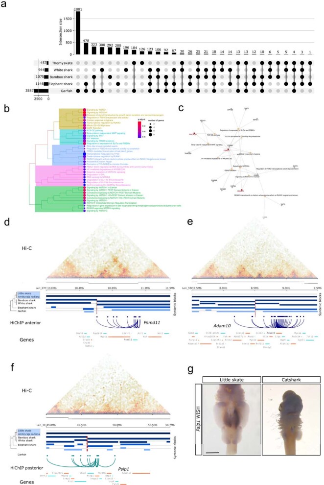 Extended Data Fig. 8