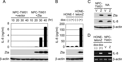 FIG. 3.