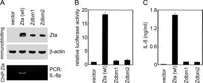 FIG. 8.