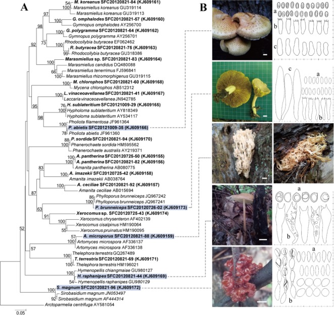 Fig. 2