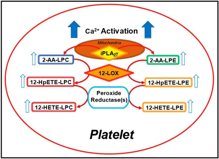 Figure 7.