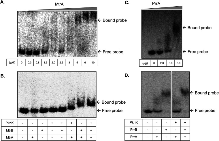 FIG 6