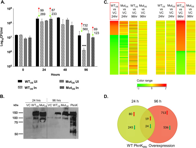 FIG 3