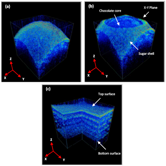 Fig. 9