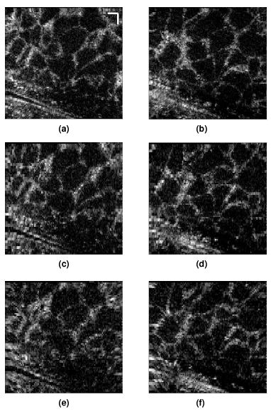 Fig. 8