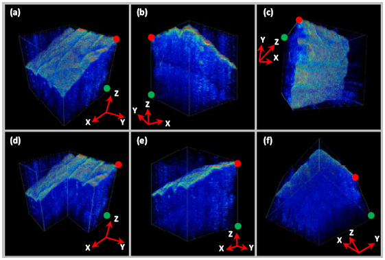 Fig. 11