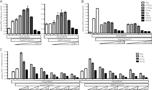 FIGURE 4.