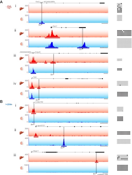 Figure 5—figure supplement 1.