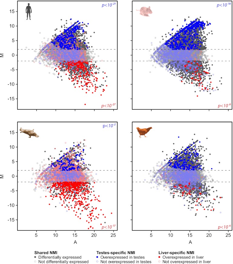 Figure 5—figure supplement 3.