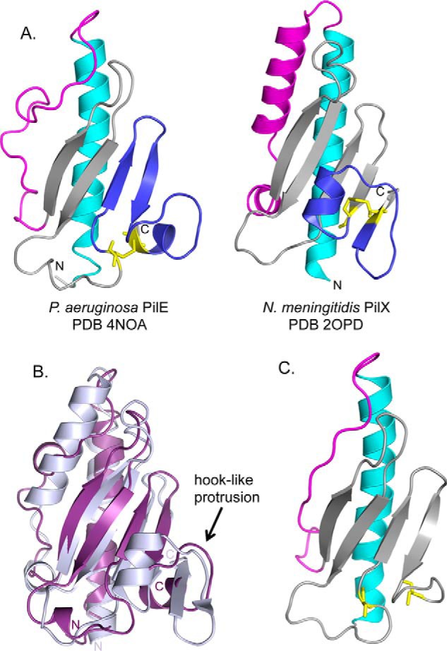 FIGURE 4.