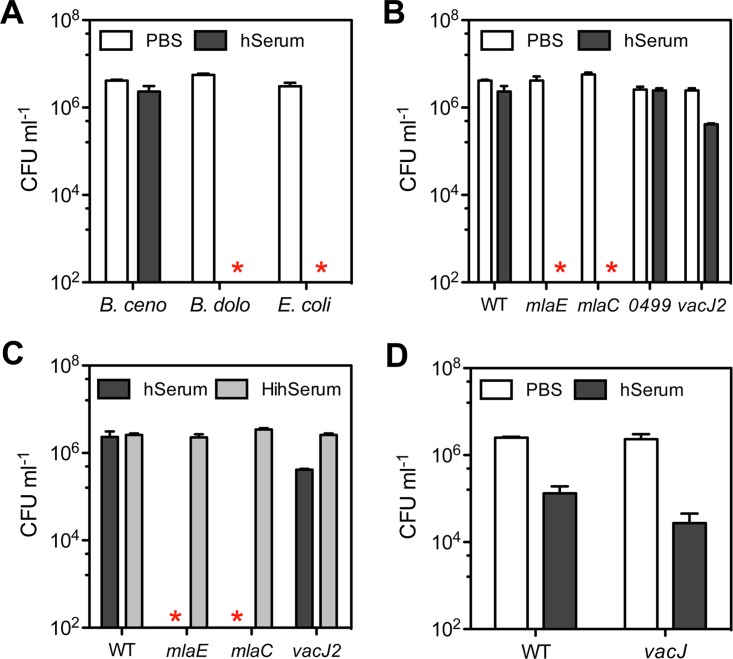 FIG 6