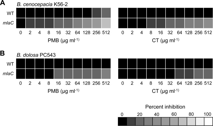 FIG 7