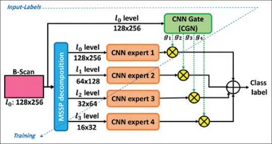 Figure 9