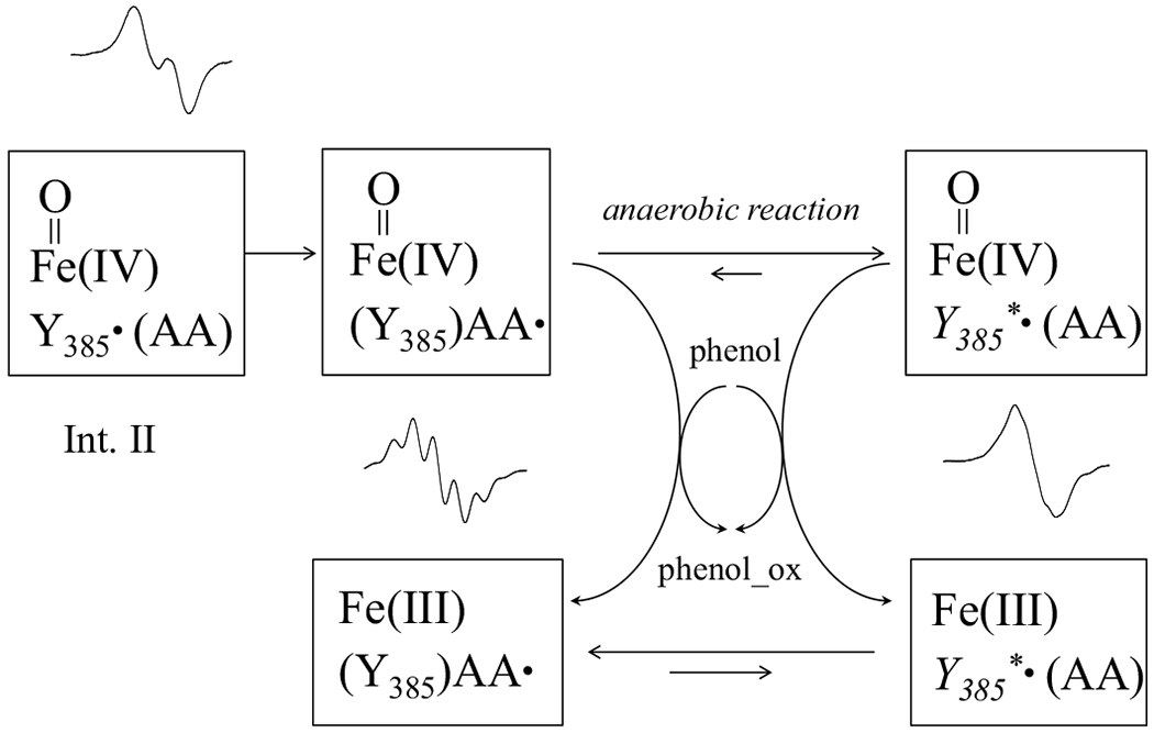 Scheme 4.