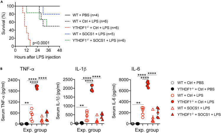 Figure 4