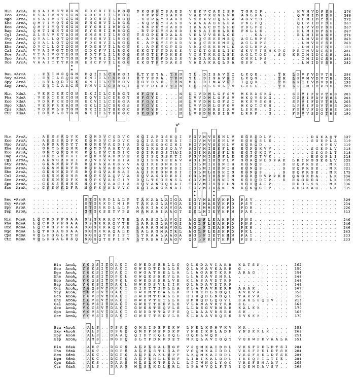 FIG. 7