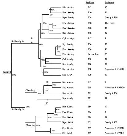 FIG. 6