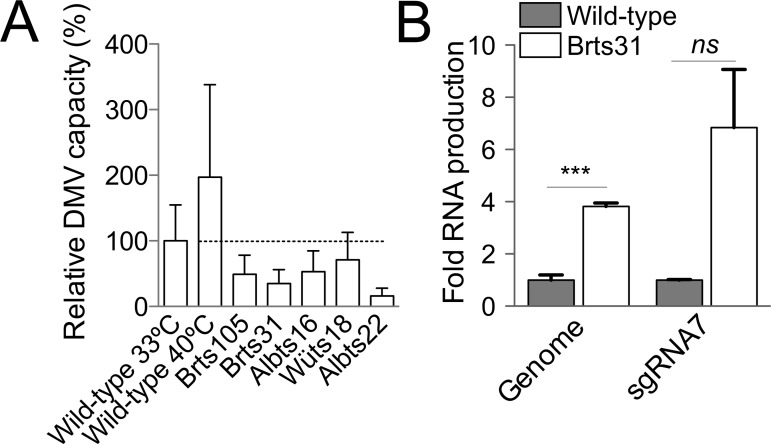 FIG 4 