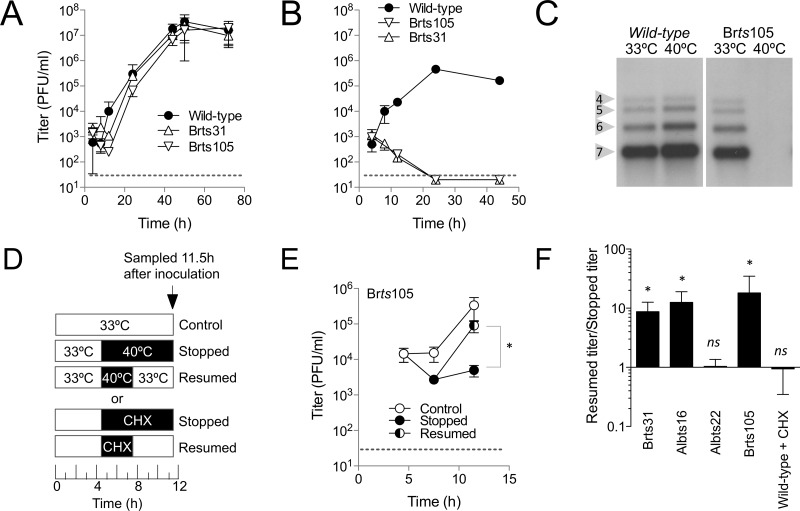 FIG 2 