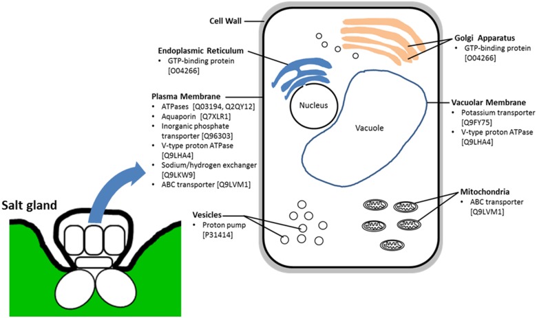 Fig 4