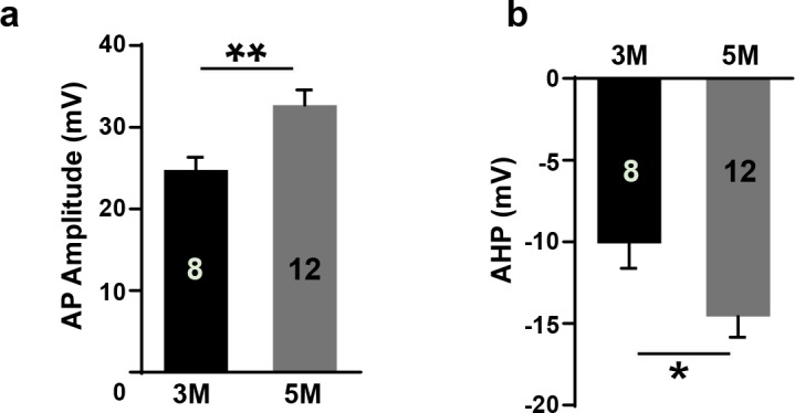 Figure 6—figure supplement 1.