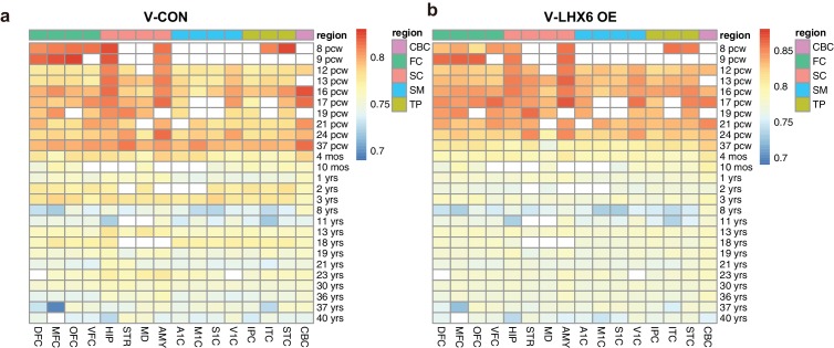 Figure 4—figure supplement 1.