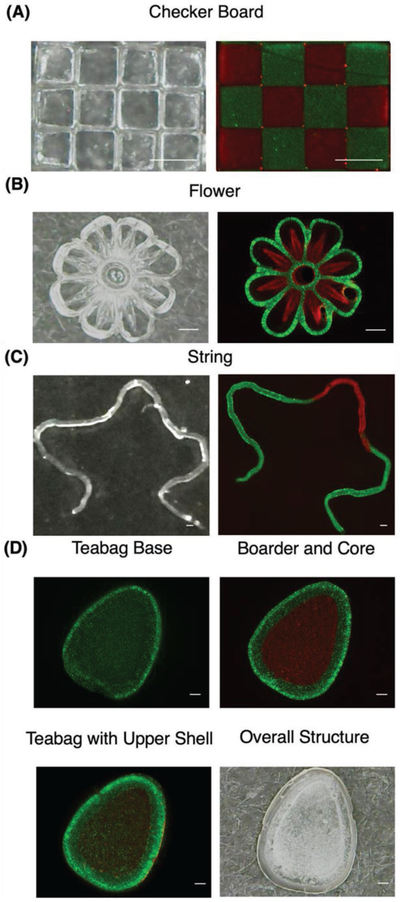 Figure 3.