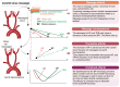 Graphical Abstract