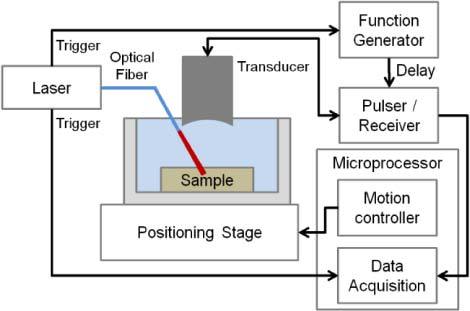 Fig. 1