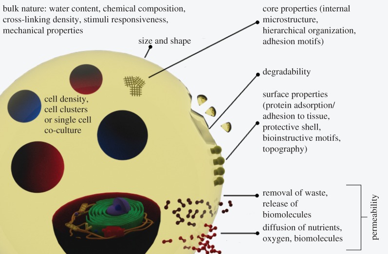 Figure 1.