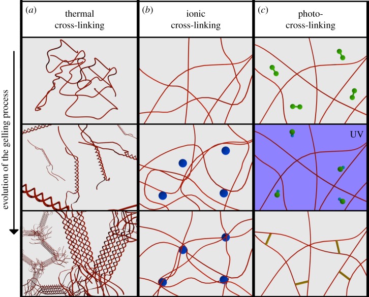 Figure 2.