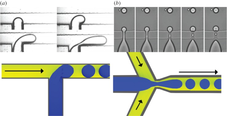 Figure 5.