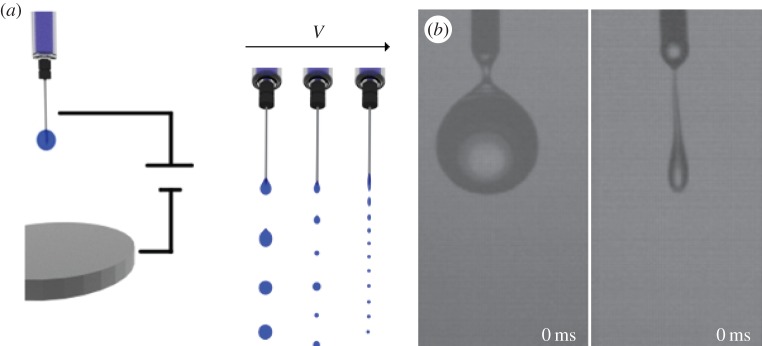 Figure 3.