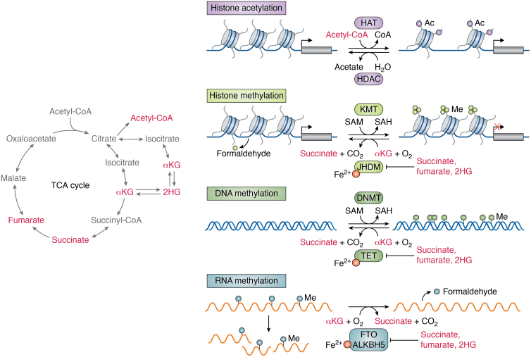 Figure 6