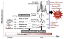 Figure 30