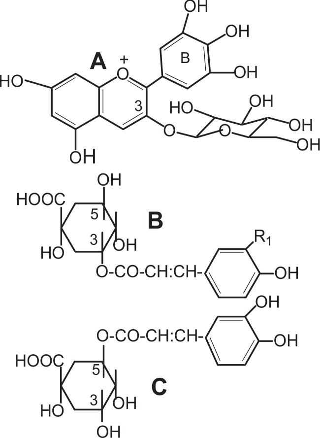 Fig. 10.