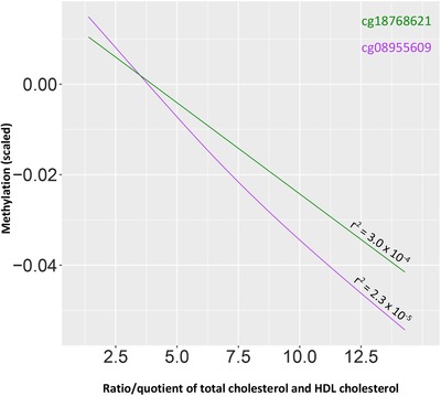 FIGURE 4