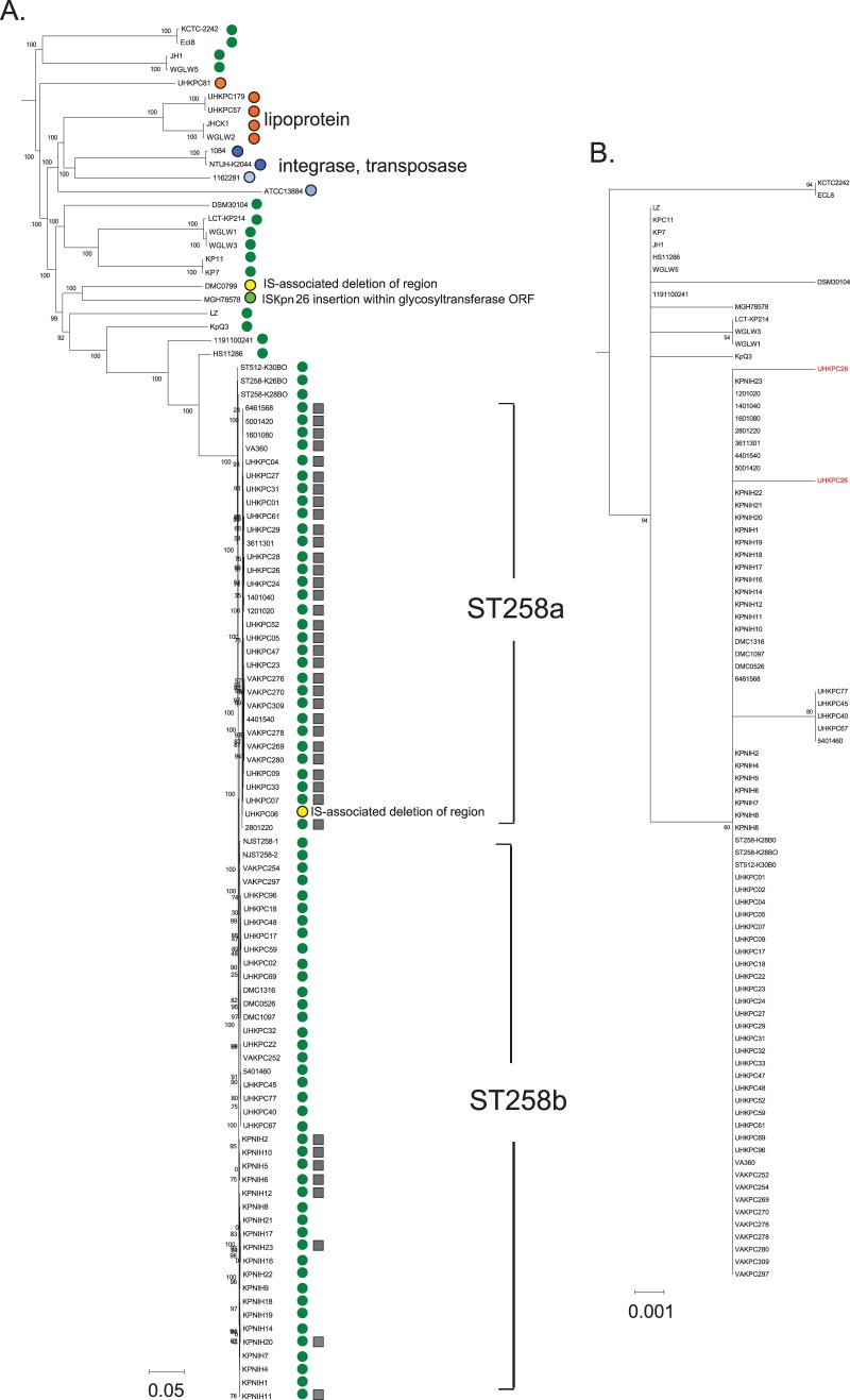 FIG 2