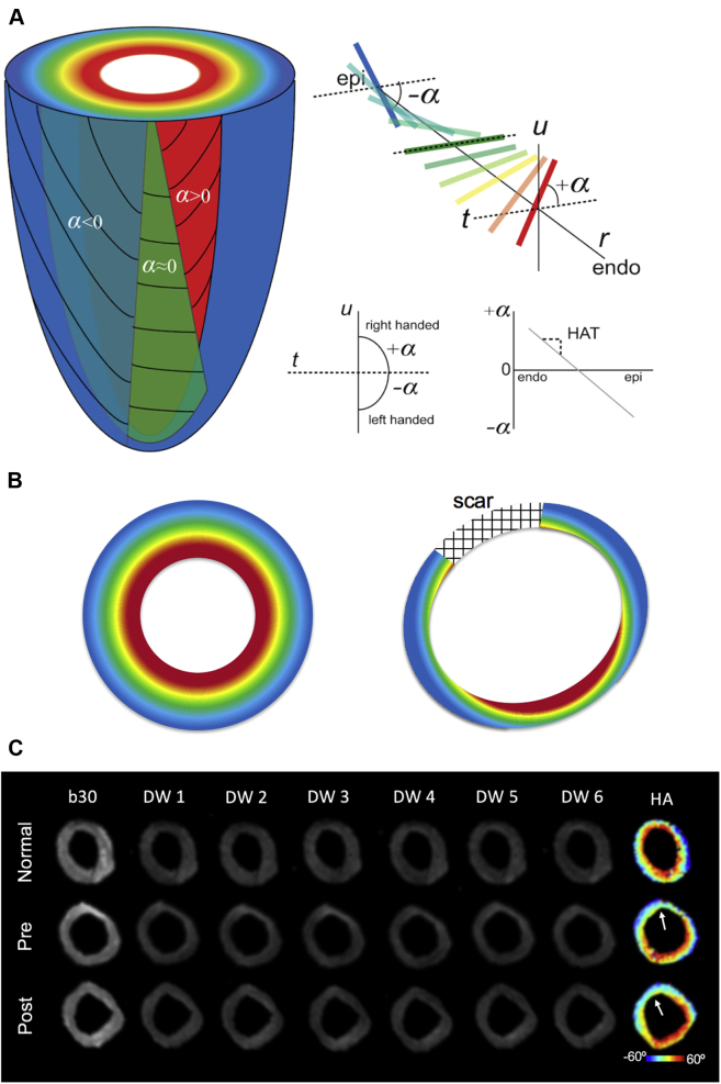 Figure 2