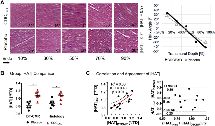 Figure 7