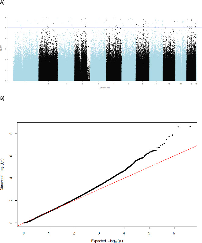 Figure 3—figure supplement 4.