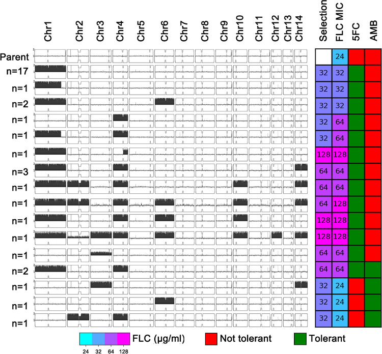 FIG 2