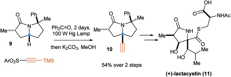 Scheme 5