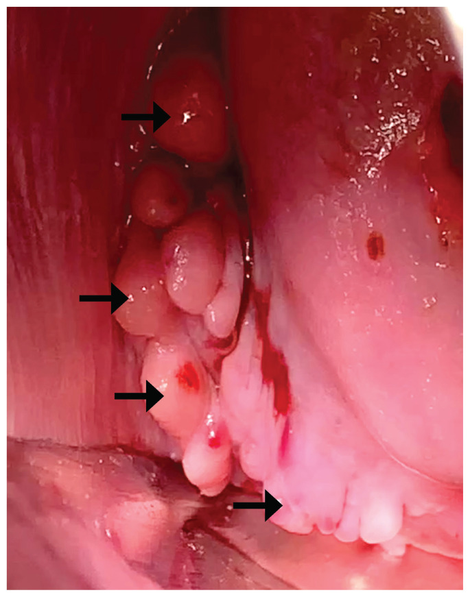 Figure 1: