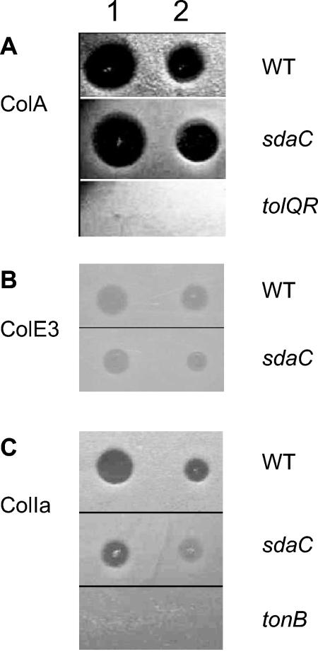 FIG. 3.