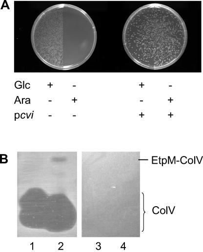 FIG. 4.