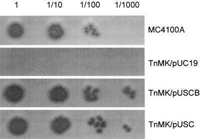 FIG. 2.